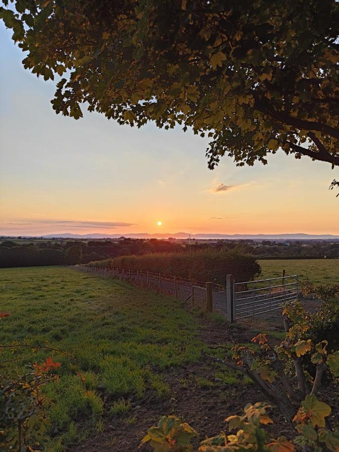 Branch Cottage Limavady Luaran gambar